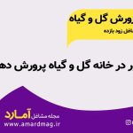 پرورش گل و گیاه در خانه