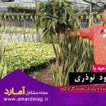 مصاحبه کارآفرینی با جنس گل و گیاه