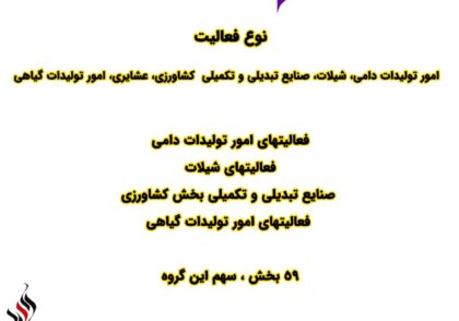 مشاغل خانگی