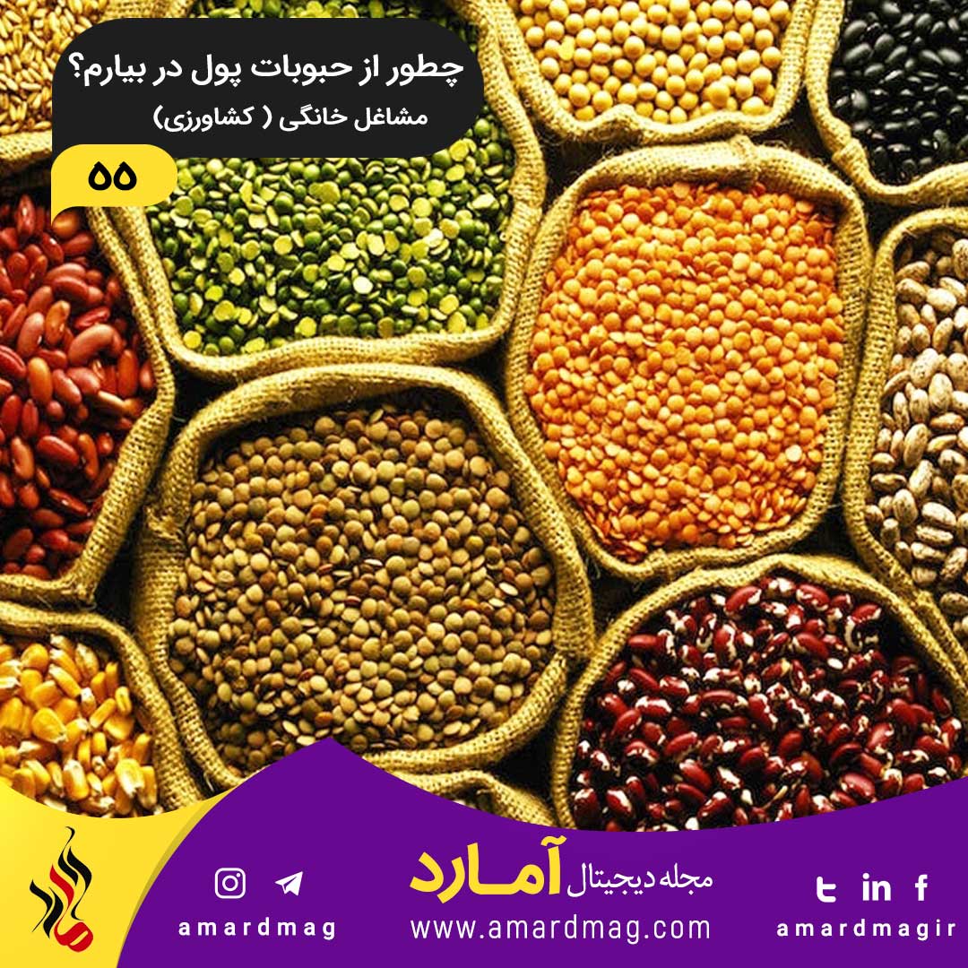 کشاورزی