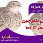 پرورش بلدرچین