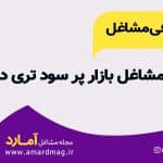 ایده های شغلی با سرمایه کم