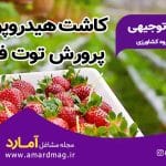 طرح توجیهی کاشت توت فرنگی به روش هیدروپونیک